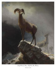 Albert Bierstadt (1830-1902) Rocky Mountain Sheep or Big Horn, Ovis, Montana