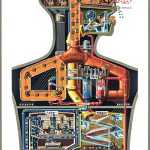 Der Mensch als Industriepalast by Fritz Kahn 1926