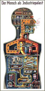 Der Mensch als Industriepalast by Fritz Kahn 1926